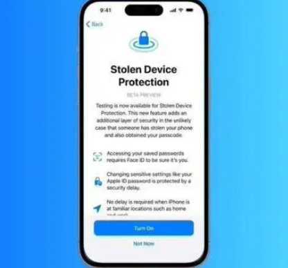 大邑苹果授权维修店分享被盗设备保护功能开启方法 