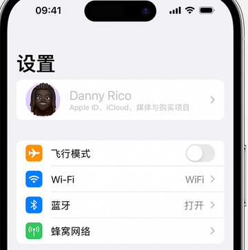 大邑appleID维修服务iPhone设置中Apple ID显示为灰色无法使用 