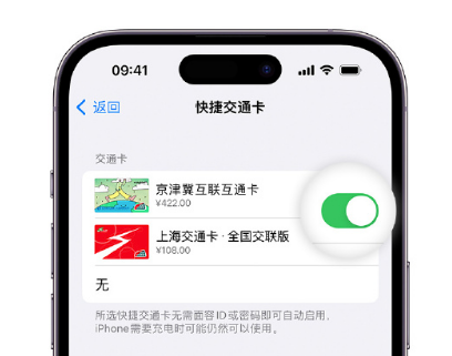 大邑apple维修点分享iPhone上更换Apple Pay快捷交通卡手绘卡面 