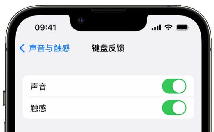 大邑苹果手机维修分享iPhone 14触感键盘使用方法 