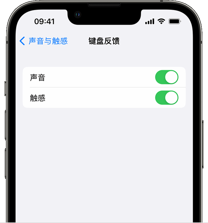 大邑苹果14维修店分享如何在 iPhone 14 机型中使用触感键盘 