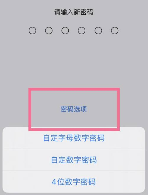 大邑苹果14维修分享iPhone 14plus设置密码的方法 