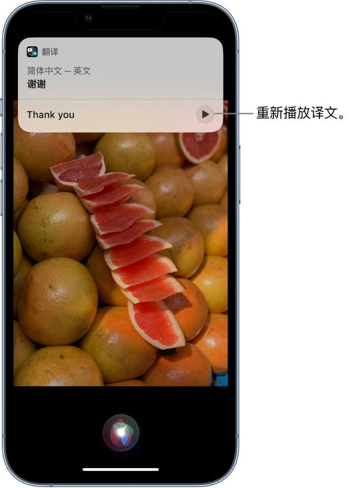 大邑苹果14维修分享 iPhone 14 机型中使用 Siri：了解 Siri 能帮你做什么 