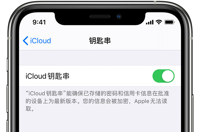 大邑苹果手机维修分享在 iPhone 上开启 iCloud 钥匙串之后会储存哪些信息 