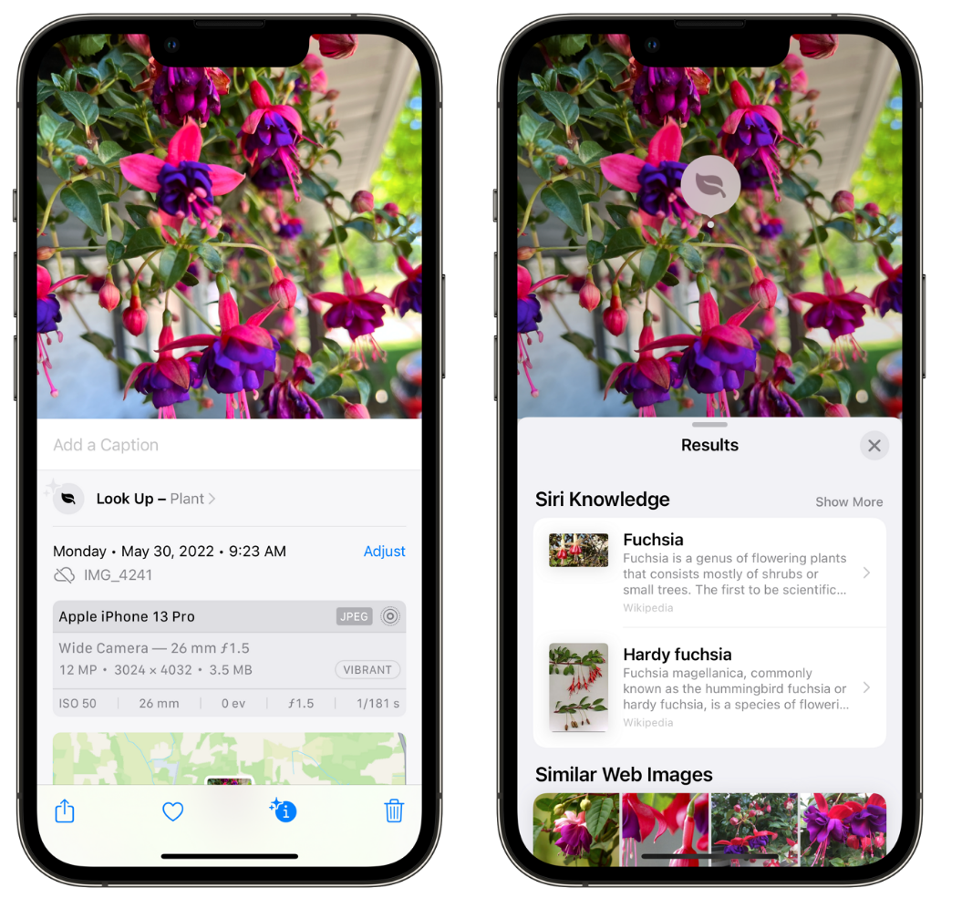 大邑苹果手机维修分享小技巧：使用 iPhone 相机识别花卉植物 