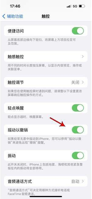 大邑苹果手机维修分享iPhone手机如何设置摇一摇删除文字 