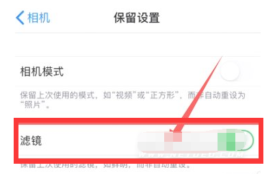 大邑苹果13维修分享iPhone13拍照有绿点是怎么回事 