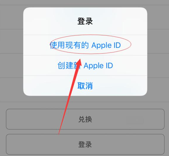 大邑苹果手机维修分享两台iPhone设备可以同时登录一个Apple ID吗 