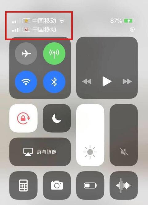 大邑苹果手机维修分享为 iPhone 12 双卡设置标签 