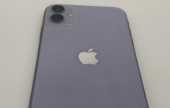大邑苹果11系统维修分享iPhone11手机系统崩溃无法开机如何解决 